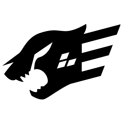 Fastify logo